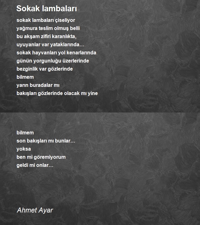 Ahmet Ayar