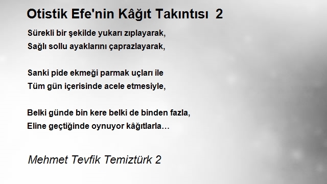 Mehmet Tevfik Temiztürk 2