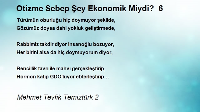 Mehmet Tevfik Temiztürk 2