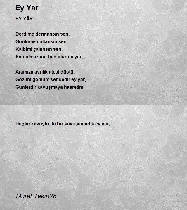 Murat Tekin28