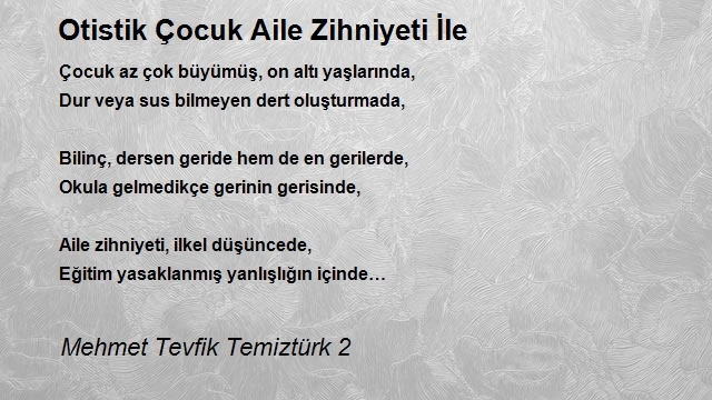 Mehmet Tevfik Temiztürk 2