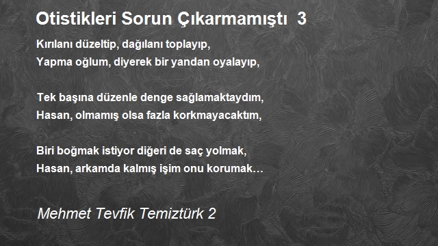 Mehmet Tevfik Temiztürk 2