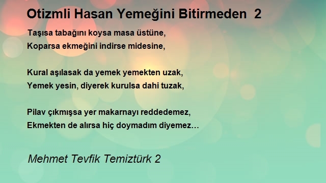 Mehmet Tevfik Temiztürk 2