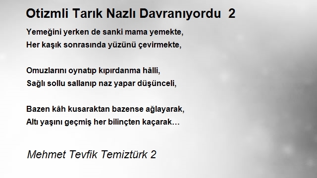 Mehmet Tevfik Temiztürk 2