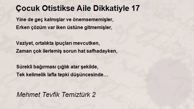 Mehmet Tevfik Temiztürk 2