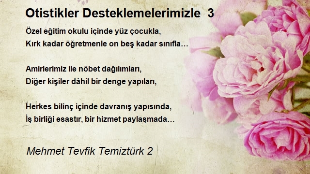 Mehmet Tevfik Temiztürk 2