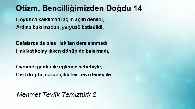 Mehmet Tevfik Temiztürk 2