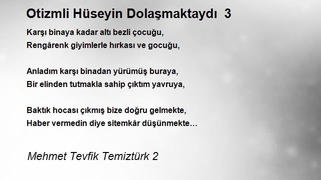 Mehmet Tevfik Temiztürk 2