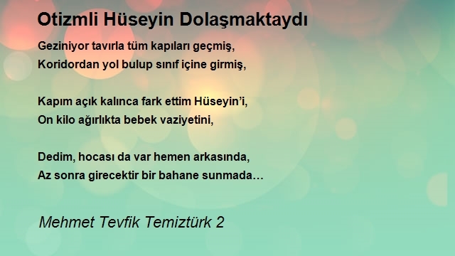 Mehmet Tevfik Temiztürk 2