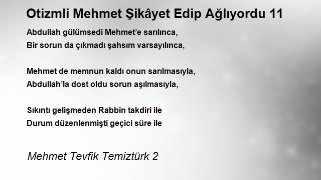 Mehmet Tevfik Temiztürk 2