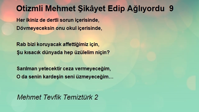 Mehmet Tevfik Temiztürk 2