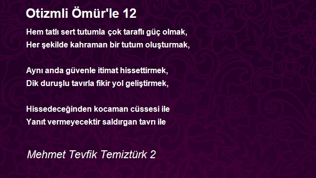 Mehmet Tevfik Temiztürk 2