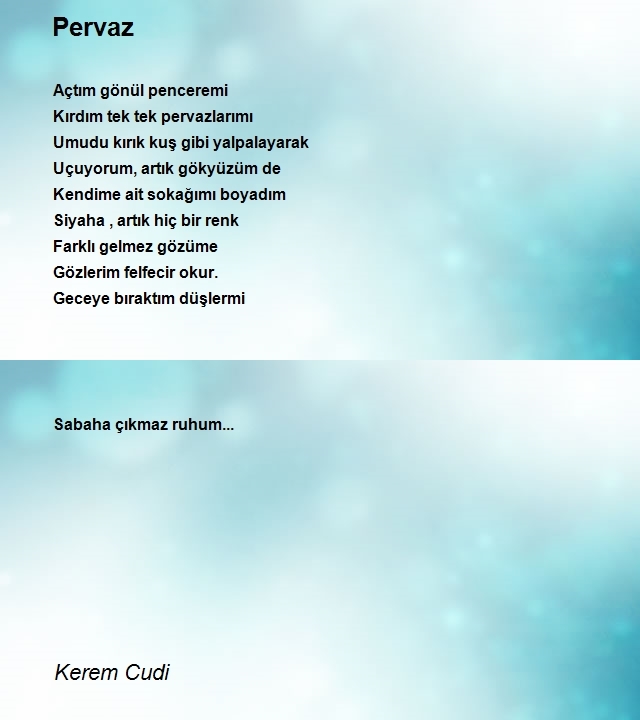 Kerem Cudi