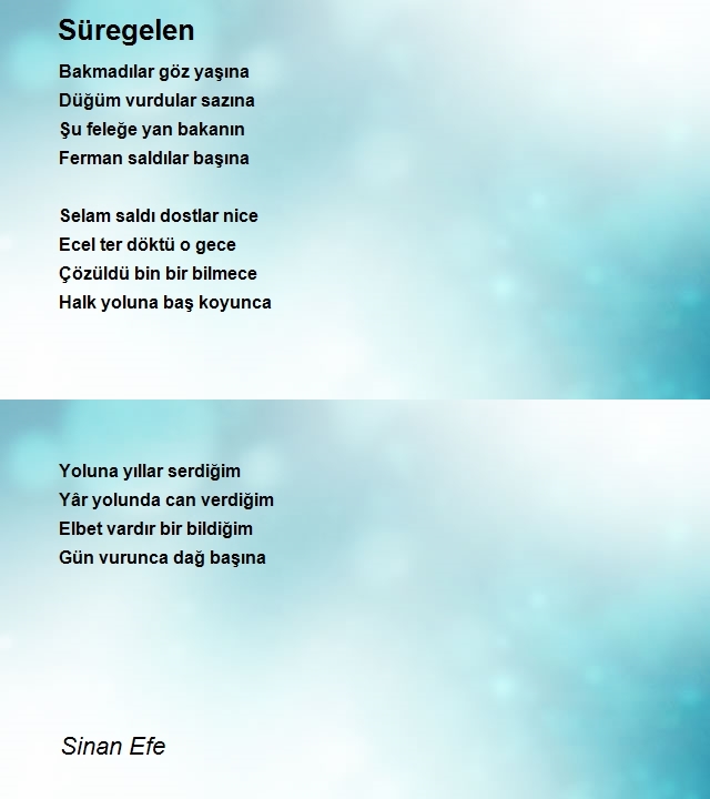 Sinan Efe