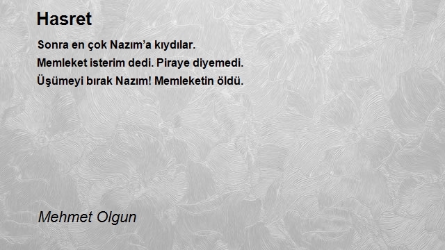 Mehmet Olgun