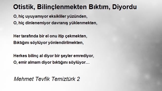 Mehmet Tevfik Temiztürk 2