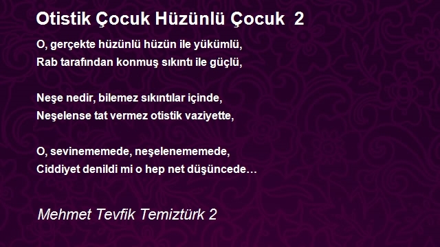 Mehmet Tevfik Temiztürk 2