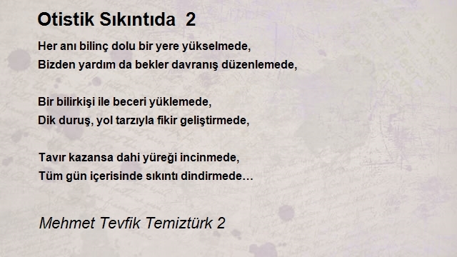 Mehmet Tevfik Temiztürk 2