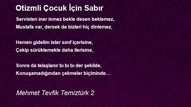 Mehmet Tevfik Temiztürk 2