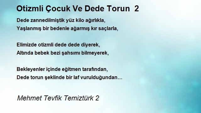 Mehmet Tevfik Temiztürk 2