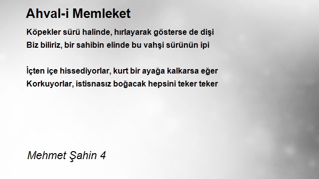 Mehmet Şahin 4