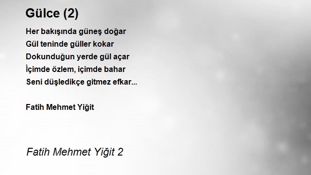 Fatih Mehmet Yiğit 2