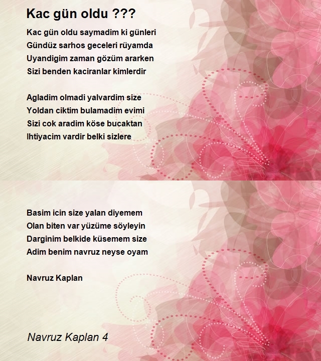 Navruz Kaplan 4