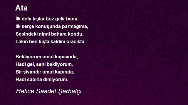 Hatice Saadet Şerbetçi