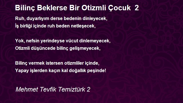 Mehmet Tevfik Temiztürk 2