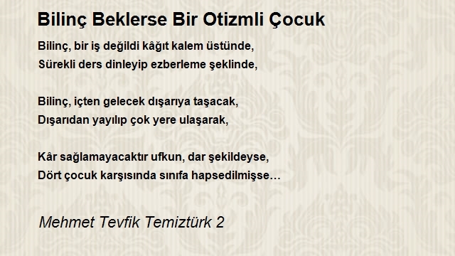 Mehmet Tevfik Temiztürk 2