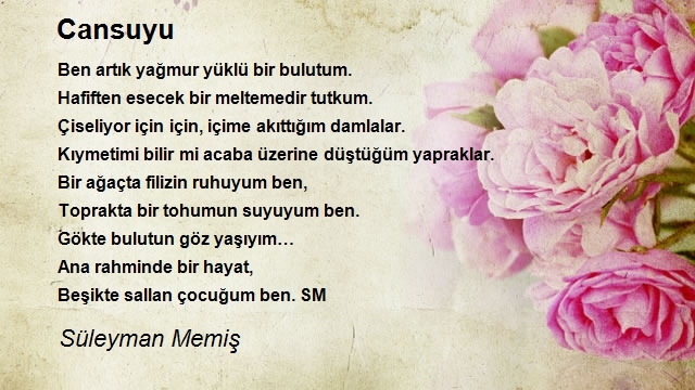 Süleyman Memiş