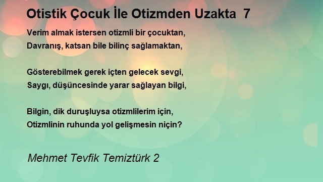 Mehmet Tevfik Temiztürk 2