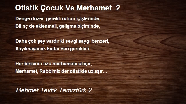 Mehmet Tevfik Temiztürk 2