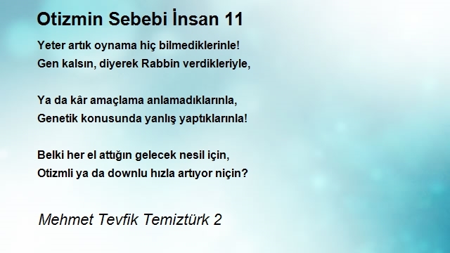 Mehmet Tevfik Temiztürk 2