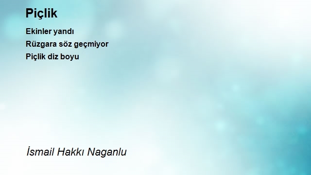 İsmail Hakkı Naganlu