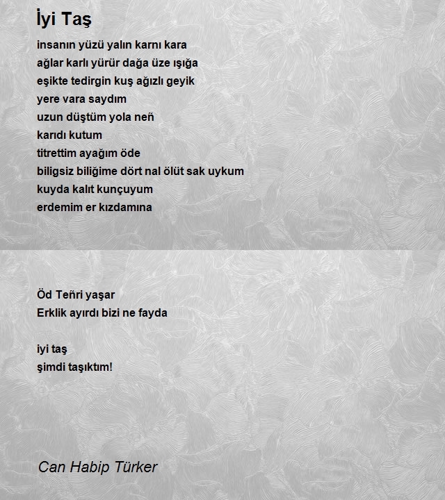 Can Habip Türker