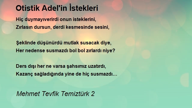 Mehmet Tevfik Temiztürk 2