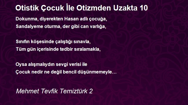 Mehmet Tevfik Temiztürk 2