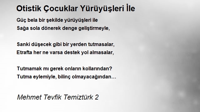 Mehmet Tevfik Temiztürk 2