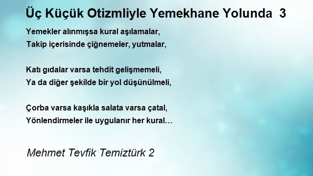 Mehmet Tevfik Temiztürk 2