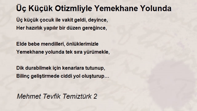 Mehmet Tevfik Temiztürk 2