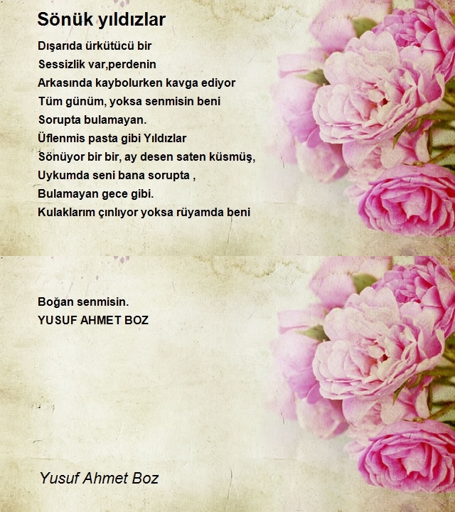 Yusuf Ahmet Boz