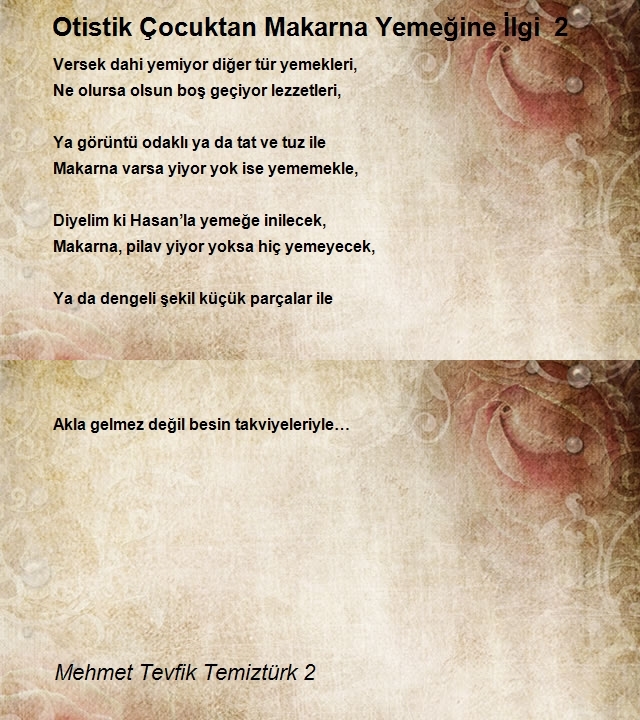 Mehmet Tevfik Temiztürk 2