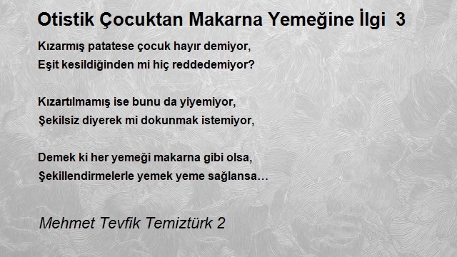 Mehmet Tevfik Temiztürk 2