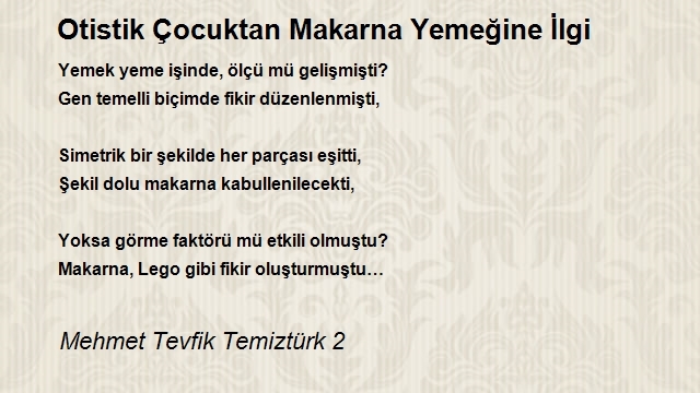 Mehmet Tevfik Temiztürk 2