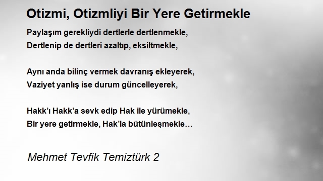 Mehmet Tevfik Temiztürk 2