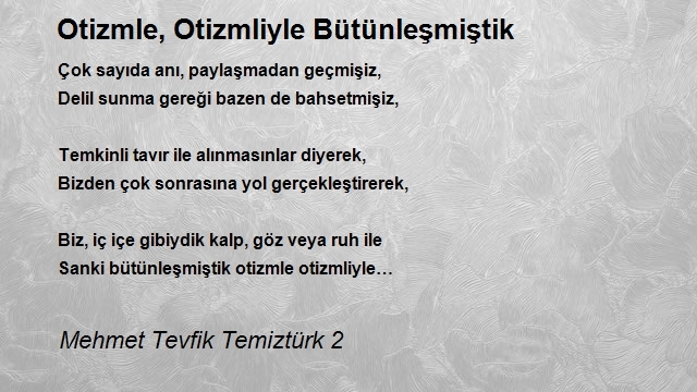 Mehmet Tevfik Temiztürk 2