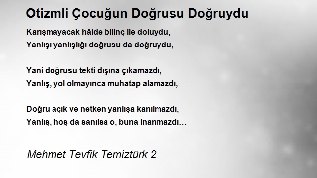 Mehmet Tevfik Temiztürk 2