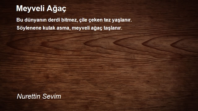 Nurettin Sevim