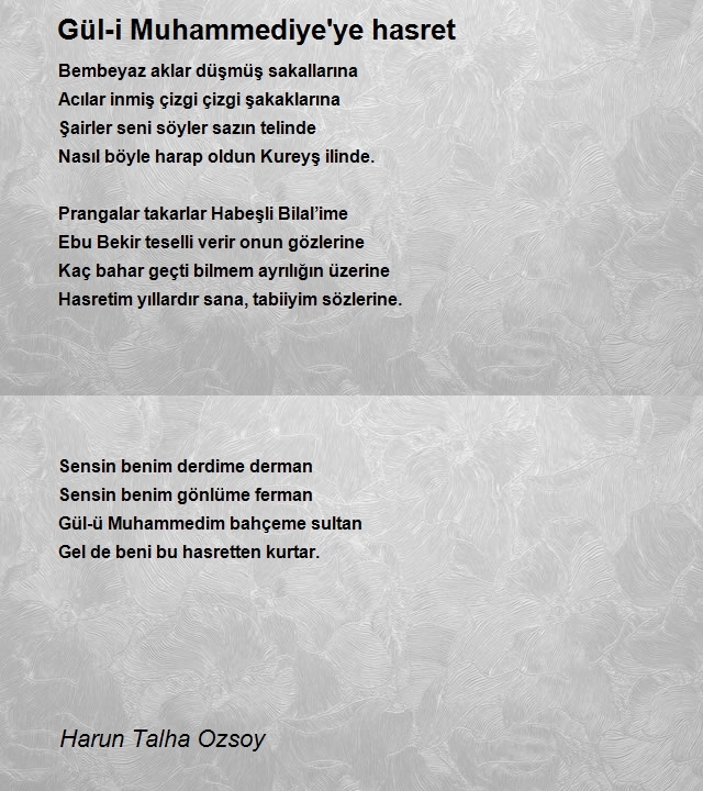 Harun Talha Ozsoy